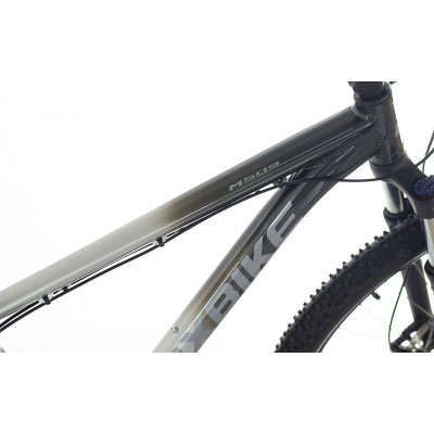 TAAL 29 stříbrný M